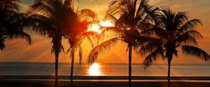 Wealthy Self Financial Planning - Read about us below and contact us for your free consultation.