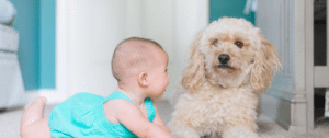 Wealthy Self - Family Financial Planning - Millennial Financial Planning - Gen Y Financial Planning